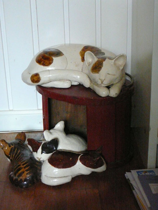 Katten